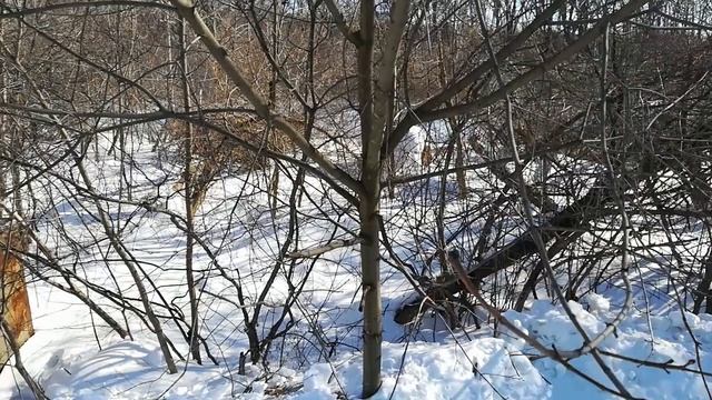 Анонс новой рубрики смотреть онлайн