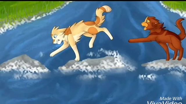 Коты воители клип ~ Кто хочет стать королевой. " смотреть онлайн