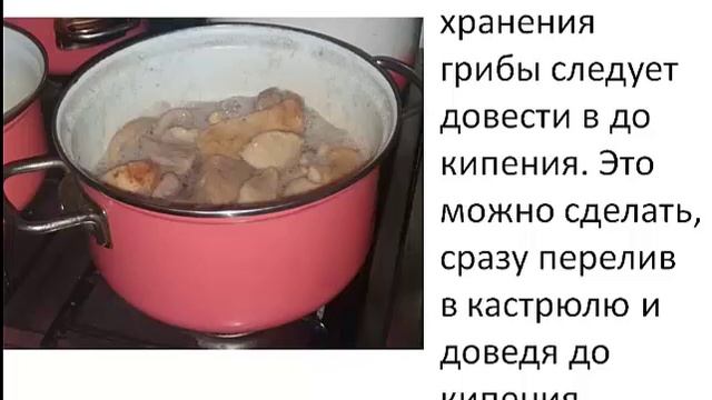 Засолка груздей и рыжиков холодным способом с сохранением в собственном соку смотреть онлайн