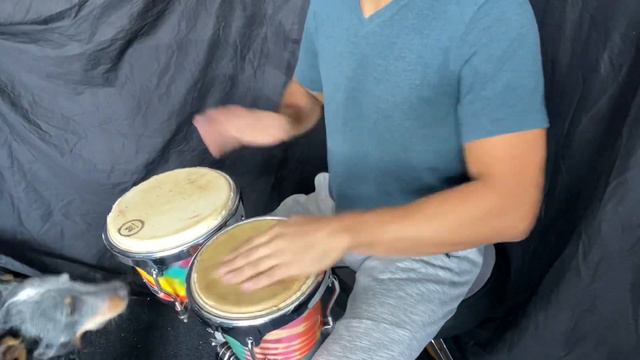 Lp Aspire Accents Bongo (Percussion Review) смотреть онлайн