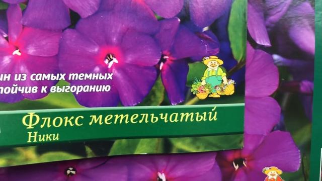 Флоксы 2020 в ОБИ. Сортовые Флоксы с названиями. смотреть онлайн