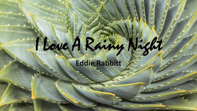 I Love A Rainy Night - Eddie Rabbitt смотреть онлайн
