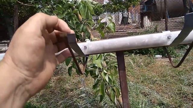 Туман уточнение смотреть онлайн