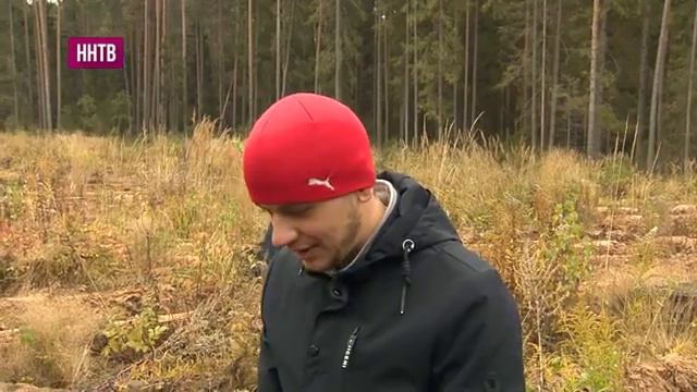 Живи, лес! Городецкий район смотреть онлайн