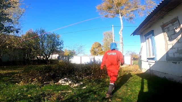 Валка дерева с помощью оттяжки смотреть онлайн