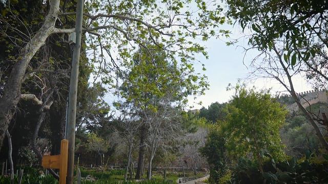 التقيت برجل فينلاندي عايش في الانيا | قلعة الانيا | تركيا смотреть онлайн