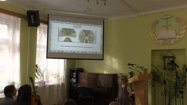 Зрение собак (Василиса Кирилловых) смотреть онлайн