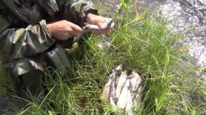 Выживание в девственной тайге. Охота, Рыбалка, Сибирь, Медведь, Тайга, Хариус, Таймень.