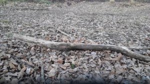 мотовездеход сибирь 2×2 глазами владельца