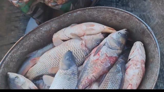 ТАКОГО ЕЩЕ НЕ ЛОВИЛ!! СЛАБОНЕРВНЫМ НЕ СМОТЕРТЬ!!! смотреть онлайн