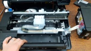 Проблема захвата Epson L210