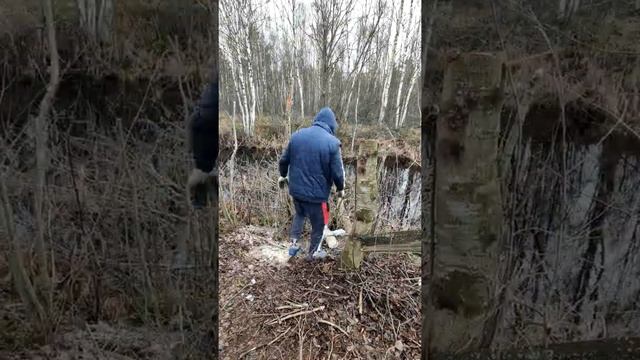 Деревья упали в водоём) Показываю как достать) #shorts смотреть онлайн