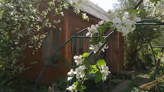 С НЕДЕЛЕЙ ЖЕН-МИРОНОСИЦ! смотреть онлайн