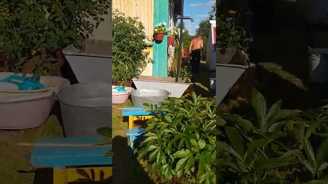 обзор огорода. муж хочет мяса смотреть онлайн