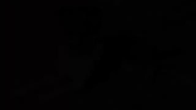 Allerlei von Mensch und Hund (7) Der schöne Hund смотреть онлайн