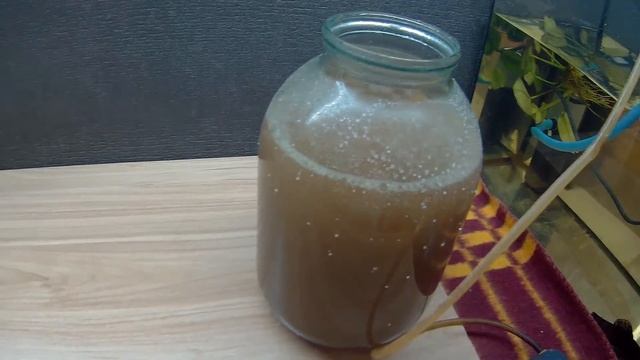 РАЗВЕДЕНИЕ АРТЕМИИ!!! смотреть онлайн