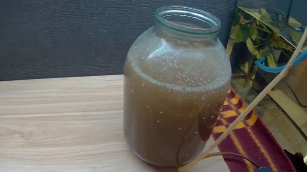 РАЗВЕДЕНИЕ АРТЕМИИ!!!