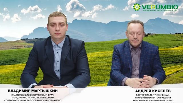 Правильная выпойка телят. Советы практикующего врача ЗДОРОВАЯ БУРЕНКА смотреть онлайн