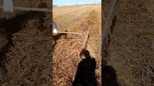 Лайфхак с граблями