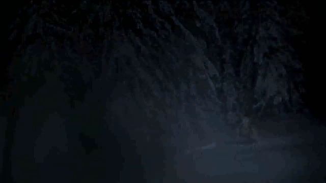 Люблю зимний лес и волков I love winter forest and wolves смотреть онлайн