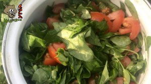 САЛАТ ИЗ СНЫТИ И МОКРИЦЫ (Школа травоведения)