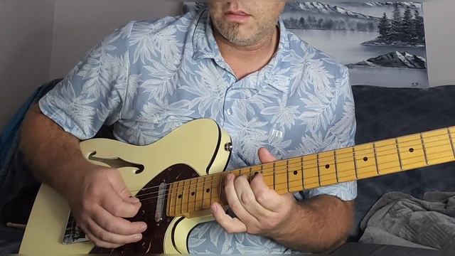 The soft side of a Fender Telebration thinline. #guitarlife смотреть онлайн