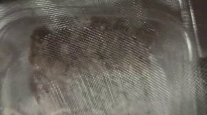 Холодец как у бабушки из свиных ножек и головы?