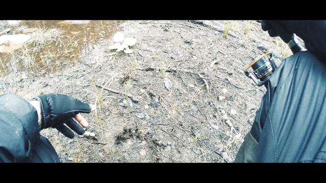 Осенняя рыбалка на щуку. Малая речка и много щуки. Рыбалка на щуку смотреть онлайн