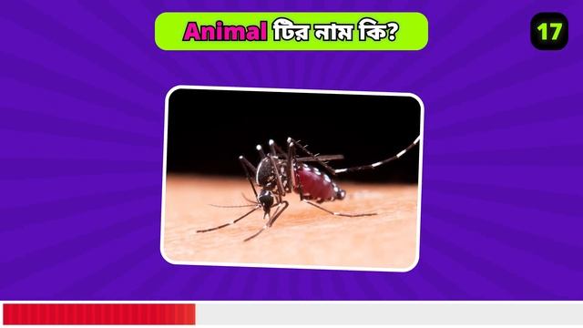 ???? ৩০ টি বিপজ্জনক প্রাণী ? Guess 30 Dangerous Animals | Quiz⚡@iq_monster_ смотреть онлайн