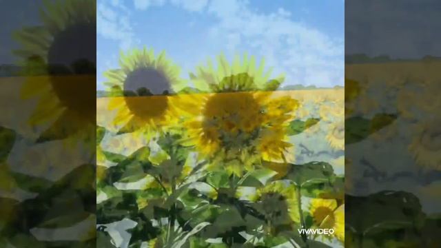 «Вальс Цветов Дога́».Автор стиха и видео Любовь Переверзева. Музыка Евгения Дога́.Текст в описании? смотреть онлайн