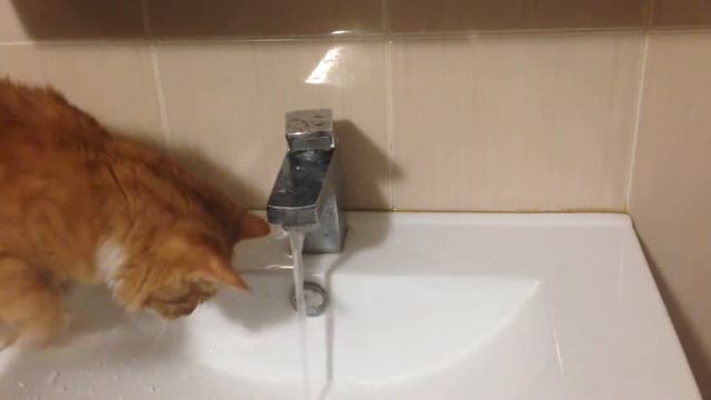 Опять селедку пересолили... смотреть онлайн