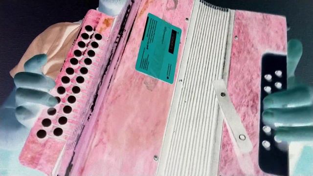 За лесом солнце воссияло ☀️Beyond The Forest The Sun Shone South Russia Cossack Song Accordion гарм