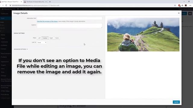 How to enable Lightbox for images | Blossom Travel Pro WordPress Theme смотреть онлайн