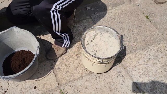 Саджаємо нові рослини в наш сад. Хвойні і гортензія на штамбі. смотреть онлайн