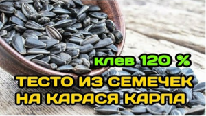 ТЕСТО ДЛЯ РЫБАЛКИ ИЗ СЕМЕЧЕК. ТЕСТО ИЗ СЕМЕЧЕК НА КАРАСЯ, КАРПА, ПЛОТВУ