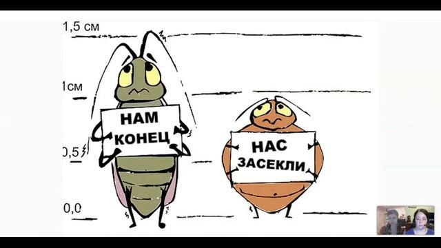 Отрывок из вебинара "Земля и Дом", про клопов смотреть онлайн