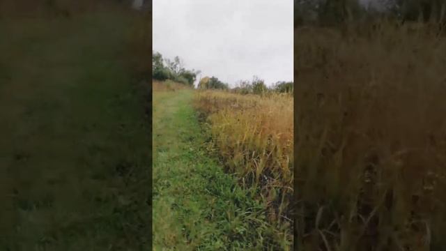 20 сентября 2021 г. смотреть онлайн