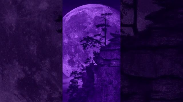 Обои фиолетового цвета #лучшиеобои #лучшиеанимеобои #анимеобои #обоинателефон #purple #wallpaper смотреть онлайн