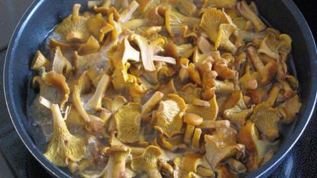 Сборник рецептов