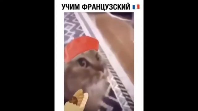 ЗА ТАКОЕ ЗАБАНЯТ / ЛУЧШИЕ ПРИКОЛЫ / СМЕШНЫЕ МОМЕНТЫ #5 #Приколы #приколы2020 #смешные смотреть онлайн