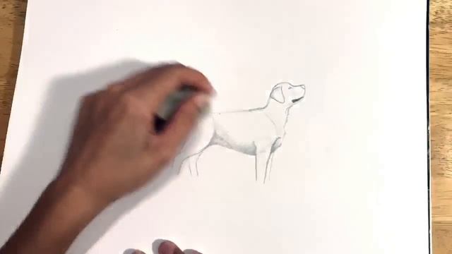 How to Draw a Lab! смотреть онлайн