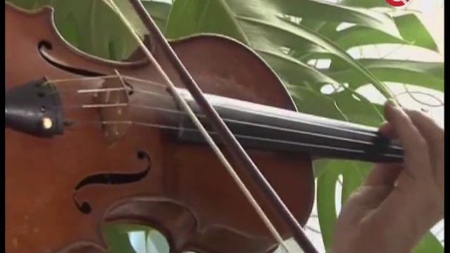 Михаил Казиник: Чехов, Малер, Берг (2009-11-03)