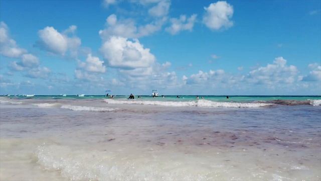 Tulum Paradise beach Mexico Playa Paraiso 2020 Caribbean coastline seaweed/Sargassum? смотреть онлайн