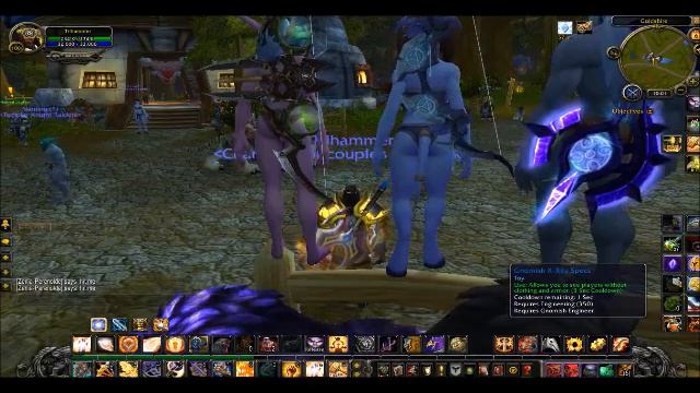 World of Warcraft Toy Box-Booty Inspector смотреть онлайн