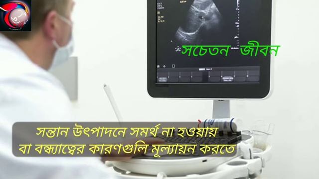 টেস্টিস বা অন্ডকোষের আল্ট্রাসাউন্ড পরীক্ষা কি ? Testis Ultrasound in Bangla смотреть онлайн