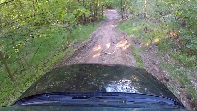 Subaru Forester SF5 Strzelecka Down