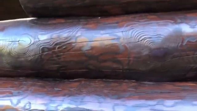 Как обработать дерево? Как восстановить цвет сруба? Рассказываем и показываем.