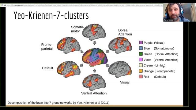 Introduction to brain parcellation (fMRI) смотреть онлайн
