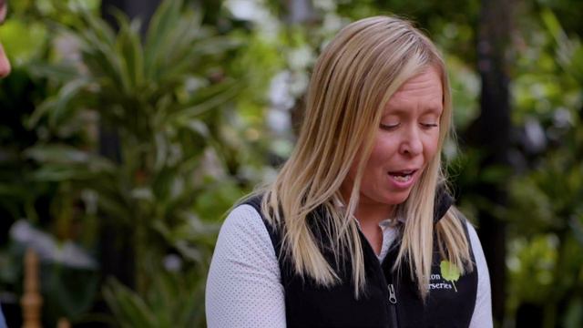 Simple Guide To Houseplant Care | Ask This Old House