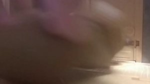 Свинка Пеппа 2 До весны не будить!